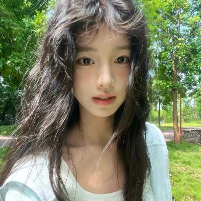 春光满古城海报